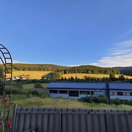 Apartment 3 With Terrace & Beautiful View Vohrenbach